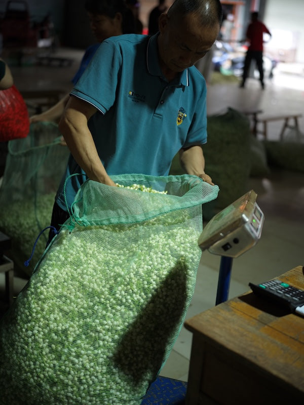 Issue 17